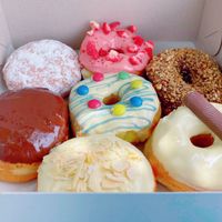 Vegan donuts~🌱🍩  at Blue Vegan Pig Shop in Prague
