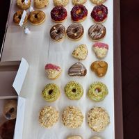  at Blue Vegan Pig Shop in Prague