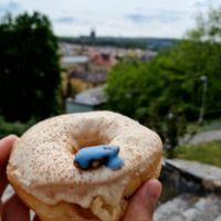  at Blue Vegan Pig Shop in Prague