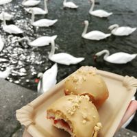 Naplavka at Blue Vegan Pig Shop in Prague