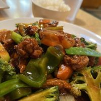 Sweet & Sour Veggie Meat with white rice   at Ma Ma Wok in Charlotte