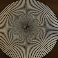 Cool plate!   at Seasoned Fusion Tastes in Saskatoon