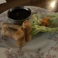 Crispy spring rolls   at Seasoned Fusion Tastes in Saskatoon
