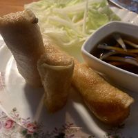 Spring rolls  at Seasoned Fusion Tastes in Saskatoon