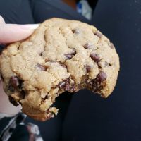 Chocolate chip cookie at Pulse Cafe in Hadley