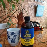 Kombucha de gingebre i llimona at Mandala Kitchen in Lescala