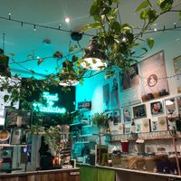 The interior with fermenting kombucha & real plants at Vegan Yes in East London