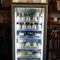 Casella Kitchen fridge at Precious Organics in Willagee