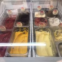 All vegan  at Gelato Factory - Maybe closed in Pondicherry