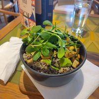 Quinia tofu cashew nut salad at Tecó in Mostar