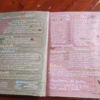 Menu at Chelo Cafe in Barcelona