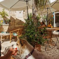 Patio at Les Baux Jus in Les Baux-de-provence