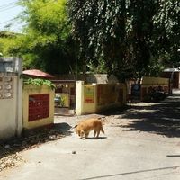 entrance at Thai Vegetarian Food in Chiang Mai