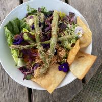   at Cantina in Paignton