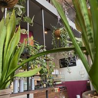 Interior at Beetnut in Zurich