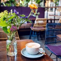  at Beetnut in Zurich