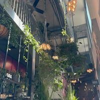 Interior  at Beetnut in Zurich