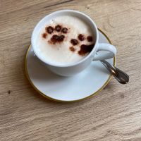   at Katzencafe Miezhaus in Bielefeld