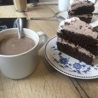 Kakao & Schokokuchen😄 at Katzencafe Miezhaus in Bielefeld