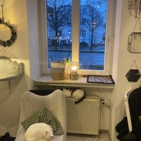 Cats!  at Katzencafe Miezhaus in Bielefeld