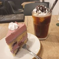  at Katzencafe Miezhaus in Bielefeld