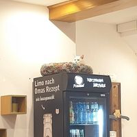  at Katzencafe Miezhaus in Bielefeld