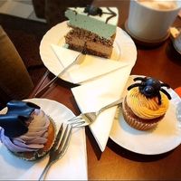 Halloween Specials  at Katzencafe Miezhaus in Bielefeld