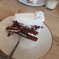  at Katzencafe Miezhaus in Bielefeld