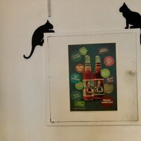 wostok at Katzencafe Miezhaus in Bielefeld