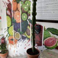 Inside the restaurant   at Raizes in Quarteira