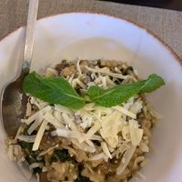 Risotto   at Raizes in Quarteira