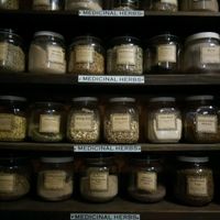 Herbs and herbs and herbs at Vashon Island Coffee Roasterie in Vashon Island