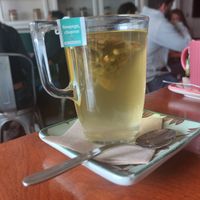 Chá at GiG - Green is Good in Ericeira