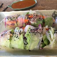 Vietnamese spring rolls  at Big Bite Home Style Veggie Cafe in Koh Tao