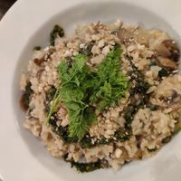 Risotto at Atlas Bar in Copenhagen