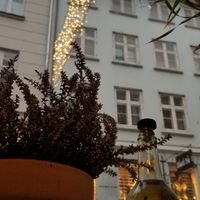 View out the window from the table during the Christmas season at Atlas Bar in Copenhagen