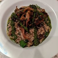 Mushroom pesto risotto at Atlas Bar in Copenhagen
