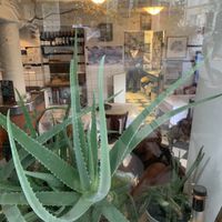   at Atlas Bar in Copenhagen