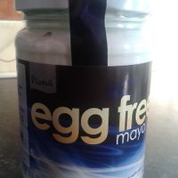 Vegan mayo at Holland & Barrett  in South Shields