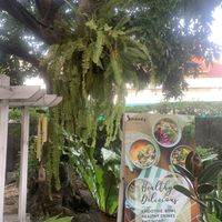 Outdoor area  at Snooze in Chiang Mai