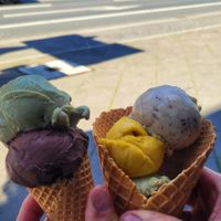  at Kugelpudel Garten Eden in Dortmund