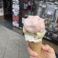   at Kugelpudel Garten Eden in Dortmund