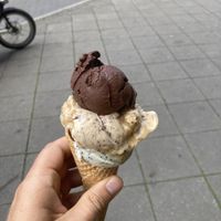   at Kugelpudel Garten Eden in Dortmund