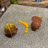  at Navadhanya in Cambridge