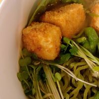 Panko Tofu at Ramen Haus in Ogden