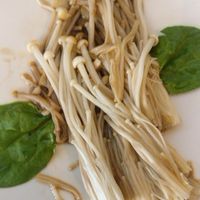 lily mushrooms at Ramen Haus in Ogden