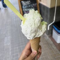 Coconut vegan icecream  at Cosi Duci Gelateria Siciliana in Barcelona