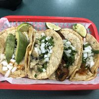 Tried all four vegetarian tacos! at Tmaz Taqueria in Ann Arbor
