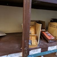 Miso at Casa Perris in Barcelona