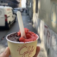 Schokolade und Erdbeer  at Natura Gelato in Trieste